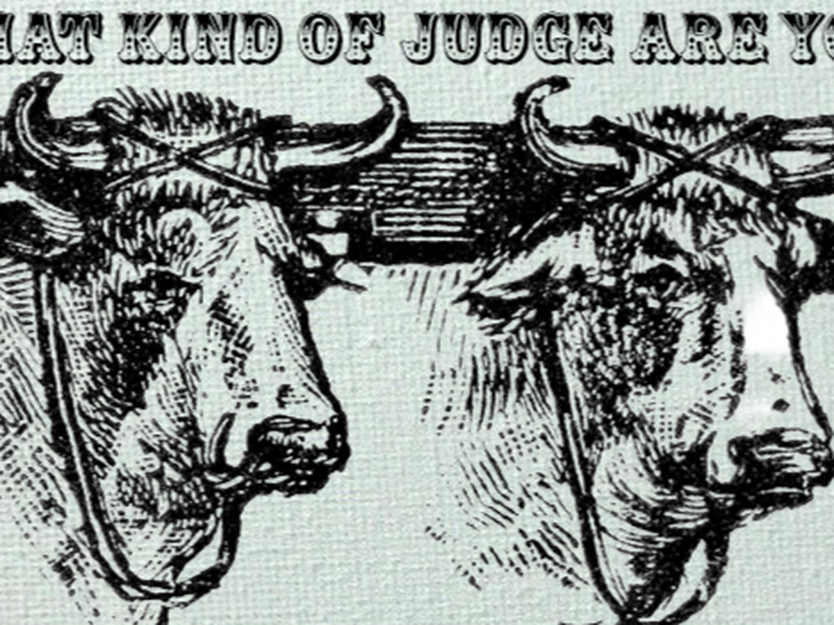 Fundraiser’s main image