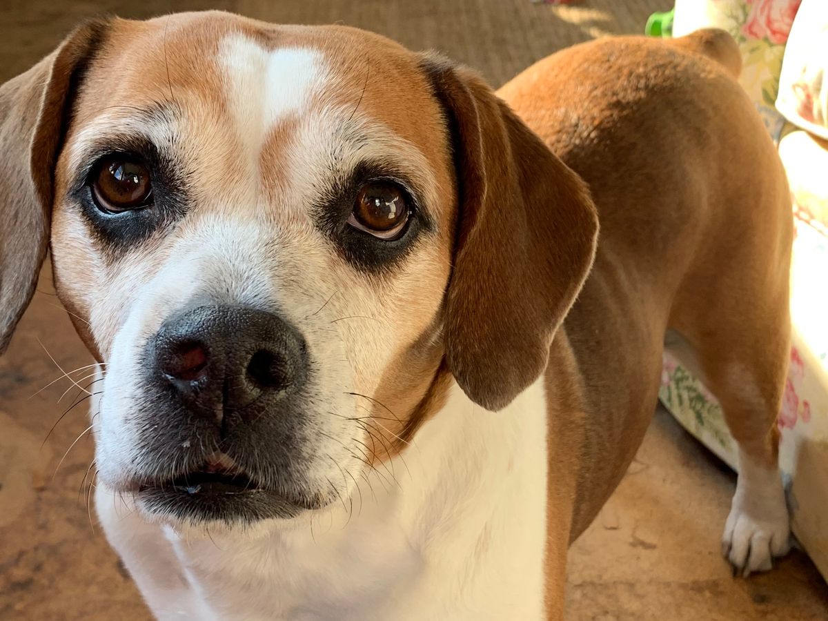 Living with Elizabeth Little: Angela Tam finds joy in beautiful things, image size:1200x900