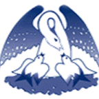 St Josephs Primary VI