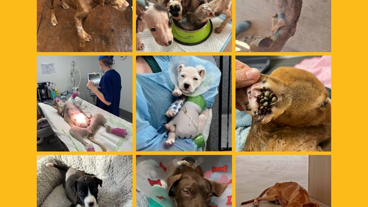 Help Build an Emergency Lifeline Fund campaign photo, 1 of 5