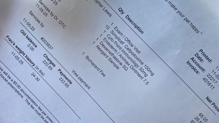 Fundraiser by Tiffani Dellapietro : Help Frau Overcome Breast Cancer