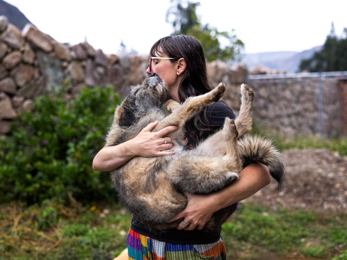 Support Cusco Canine Rescue's Mission campaign photo, 1 of 3