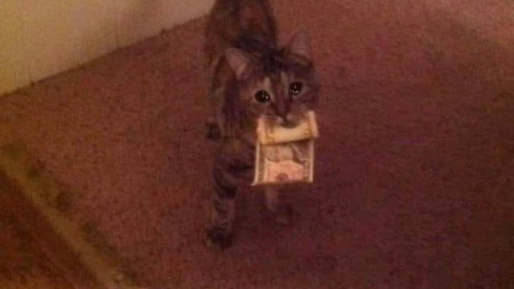 Main fundraiser photo