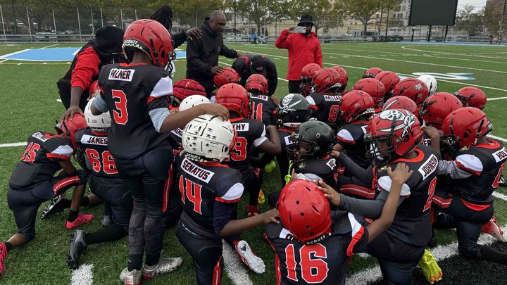 Help the Brooklyn Renegades 9U Get to Nationals‼️ campaign photo, 1 of 7