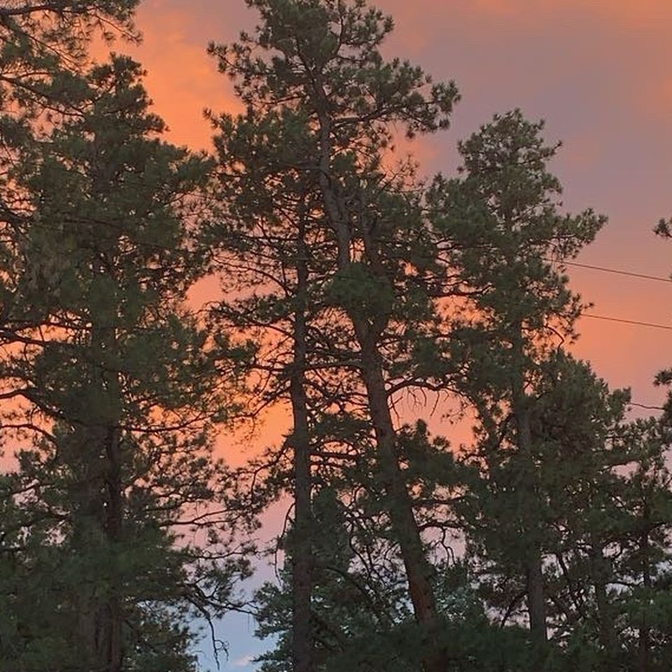 Help Layla Rebuild After Aspen Wildfire