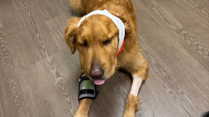 Support Booker’s Full Recovery campaign photo, 1 of 4