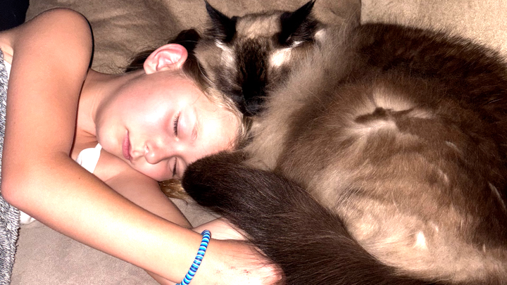 Help Puka Overcome Urinary Blockage campaign photo, 1 of 8