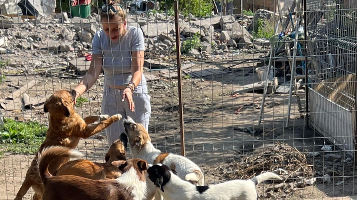 Kampagnen-Foto für Rodicas Tierheim, 1 von 3