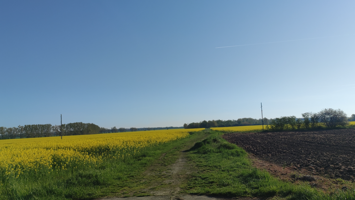 Hauptbild der Spendenaktion
