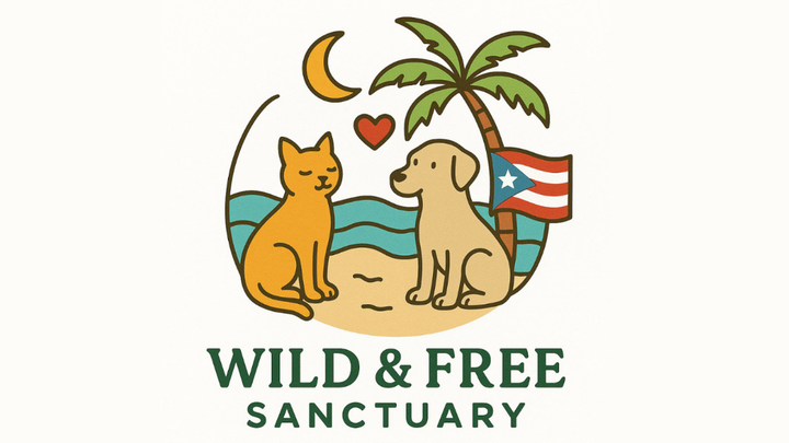 Help Us Give Puerto Rico’s Strays a Forever Home campaign photo, 1 of 8