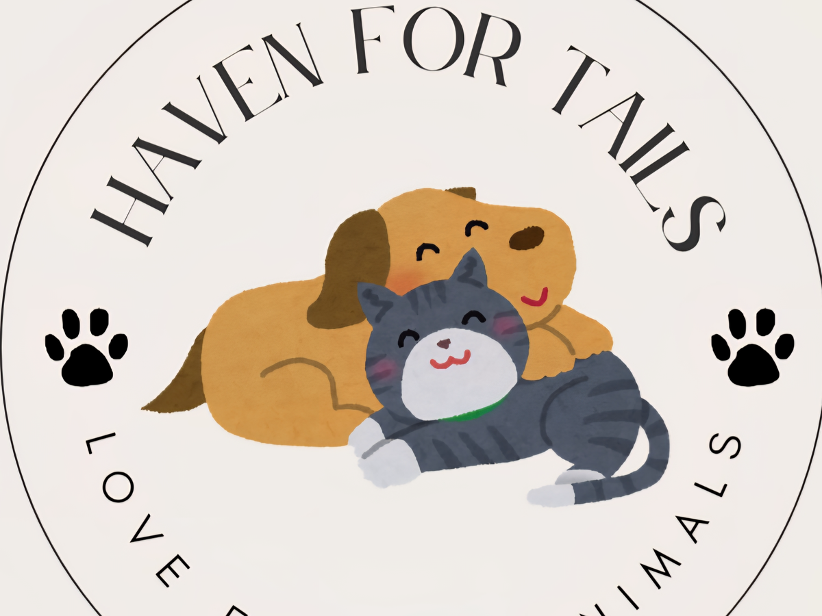 Fundraiser’s main image