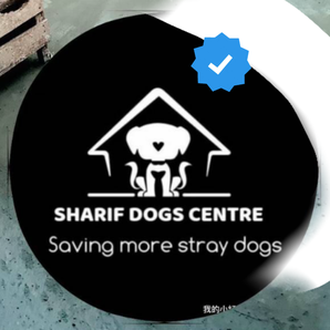 Sharif dog Rescue center