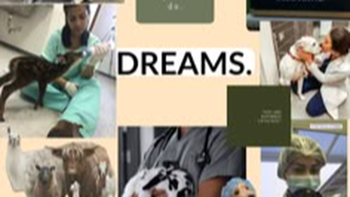 Donate to Ian Rivera Matos' Vet School Journey campaign photo, 1 of 3