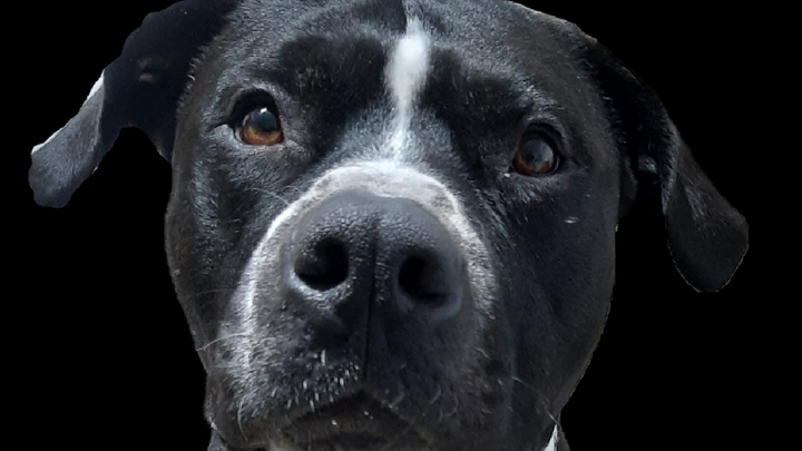 Support Littleman's Healing Journey campaign photo, 1 of 8