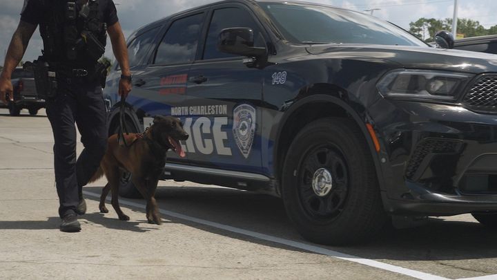 Double your impact: Storm Vests for NCPD k9 unit campaign photo, 1 of 8