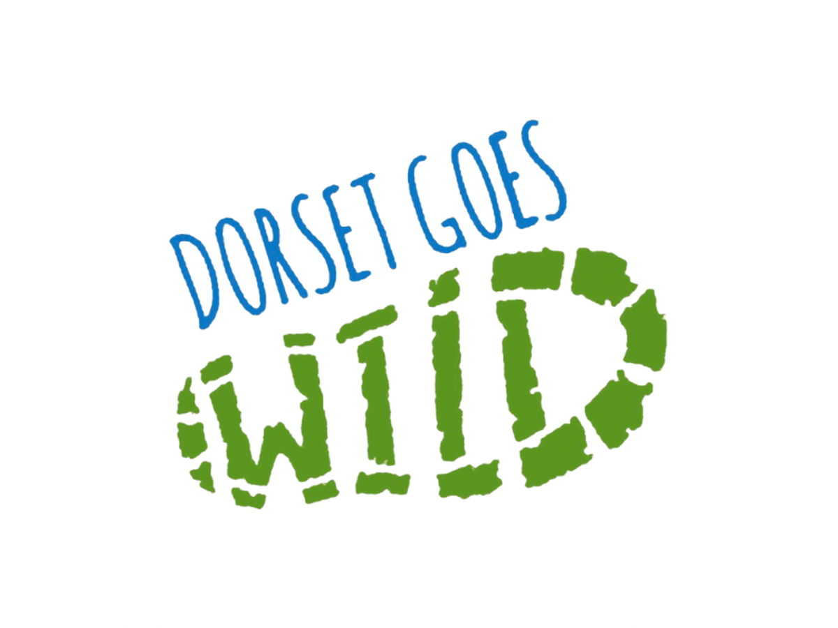 Fundraiser’s main image