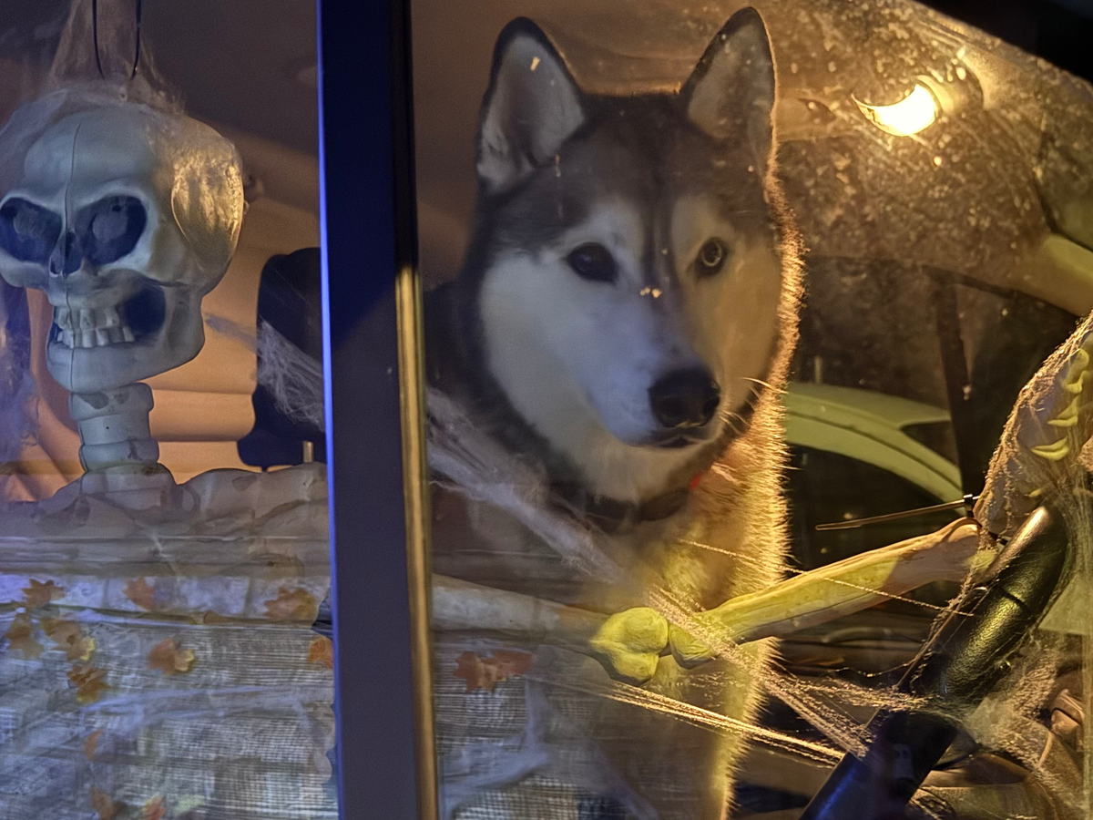 Halloween House campaign photo, 1 of 3