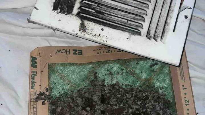 Urgent: Relocate Sierra's Family from Mold campaign photo, 1 of 8