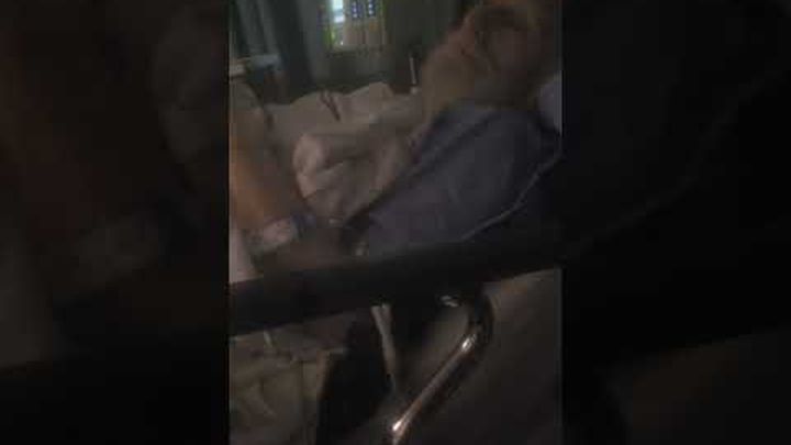 Please help my dad I love him so much video thumbnail, 1 of 5