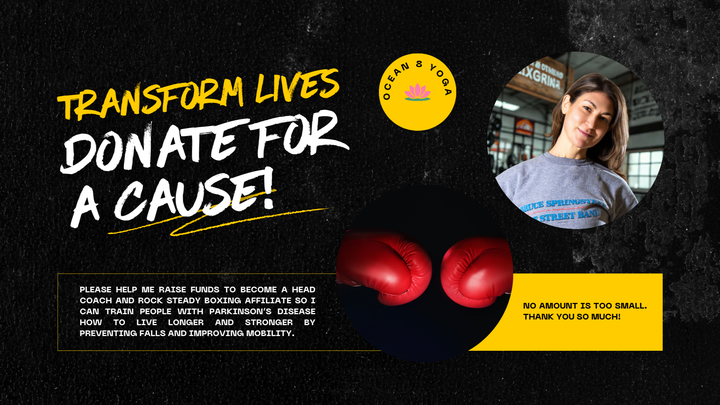 Rock Steady Boxing for Southern Ocean County campaign photo, 1 of 4