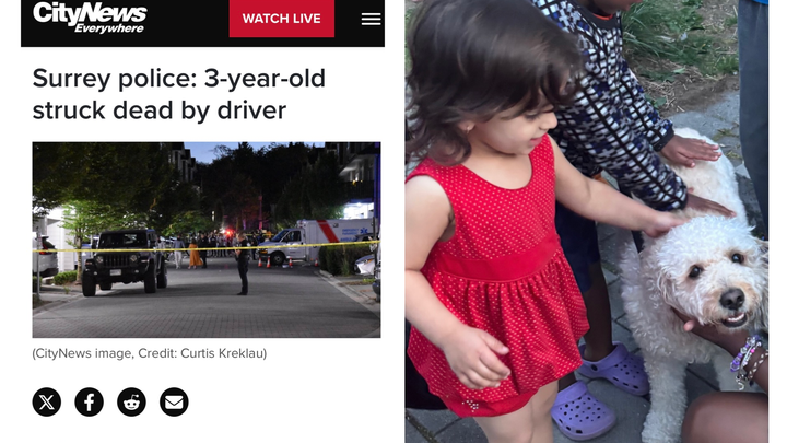 Fundraiser by Samantha Castillo : Help 3 yr old Asia’s Refugee Family ...