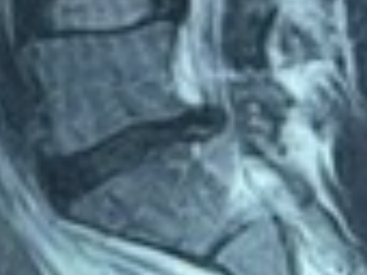 Fundraiser’s main image