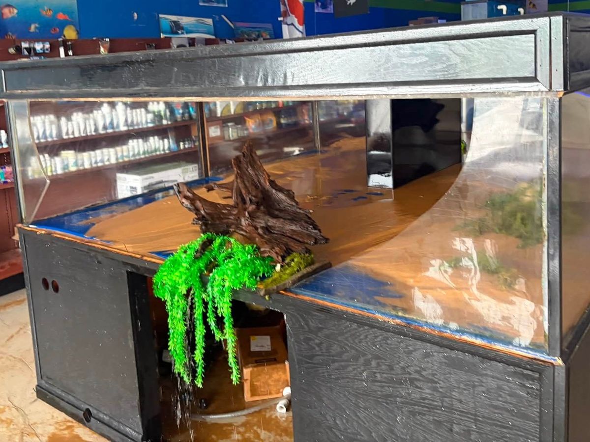 Help Restore the Heart of Something Fishy Pets campaign photo, 1 of 6