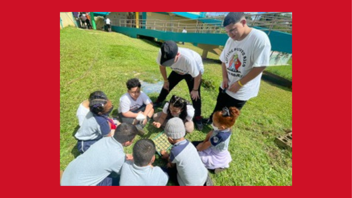 Support Students' Service Learning Projects in Puerto Rico campaign photo, 1 of 8