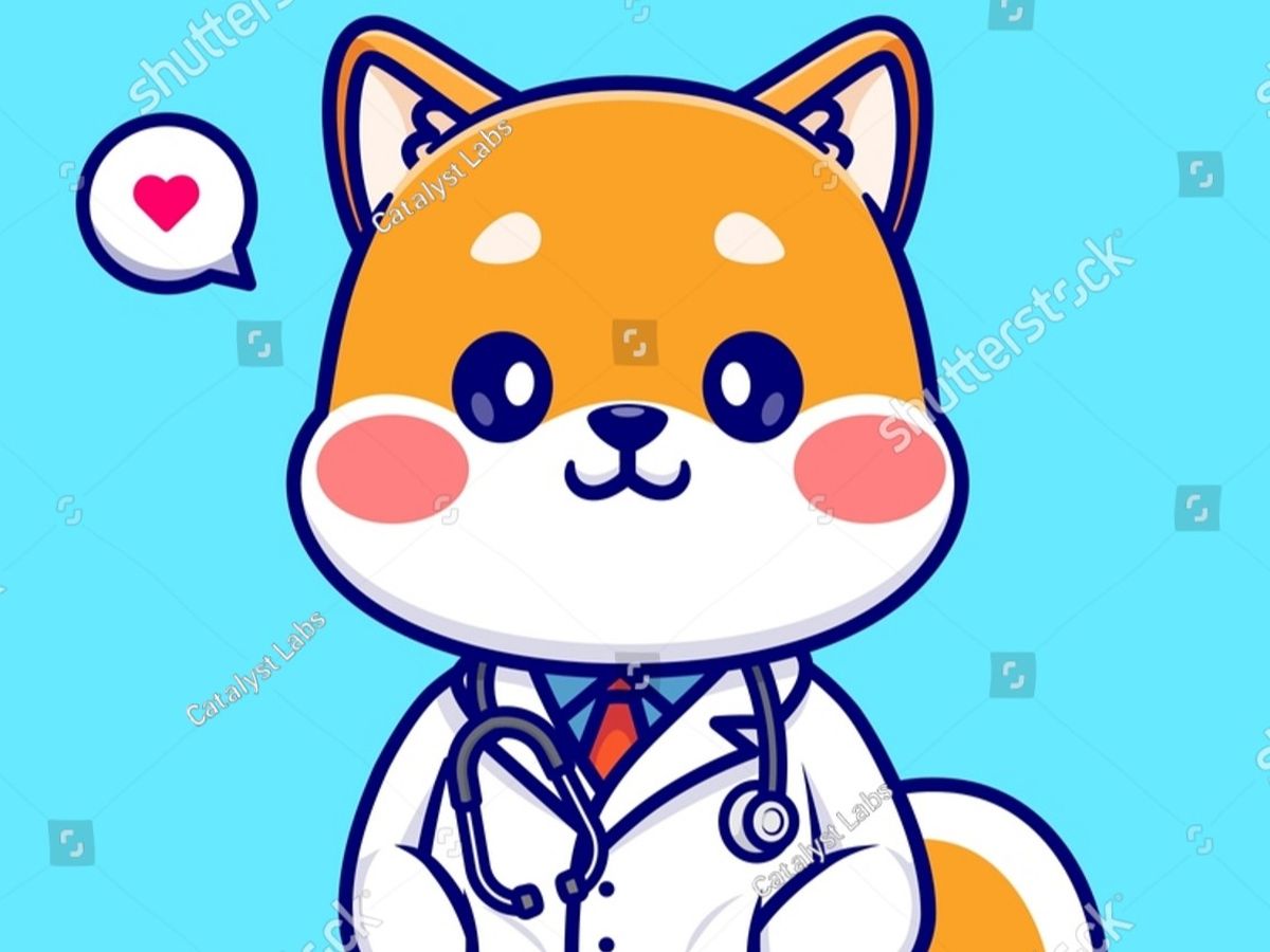 Fundraiser’s main image