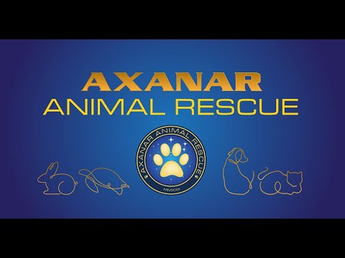 Fundraiser’s main image