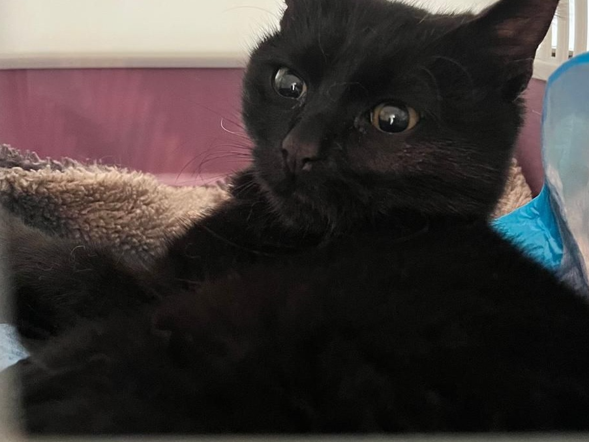 Fundraiser’s main image