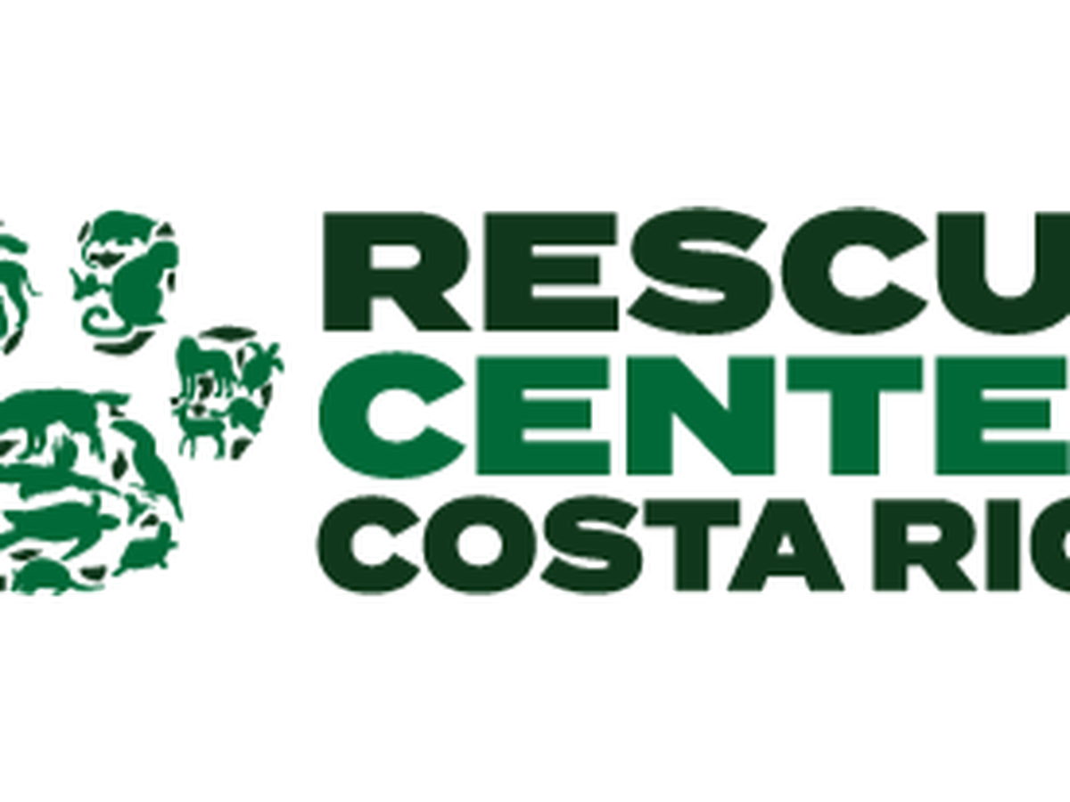 Fundraiser’s main image