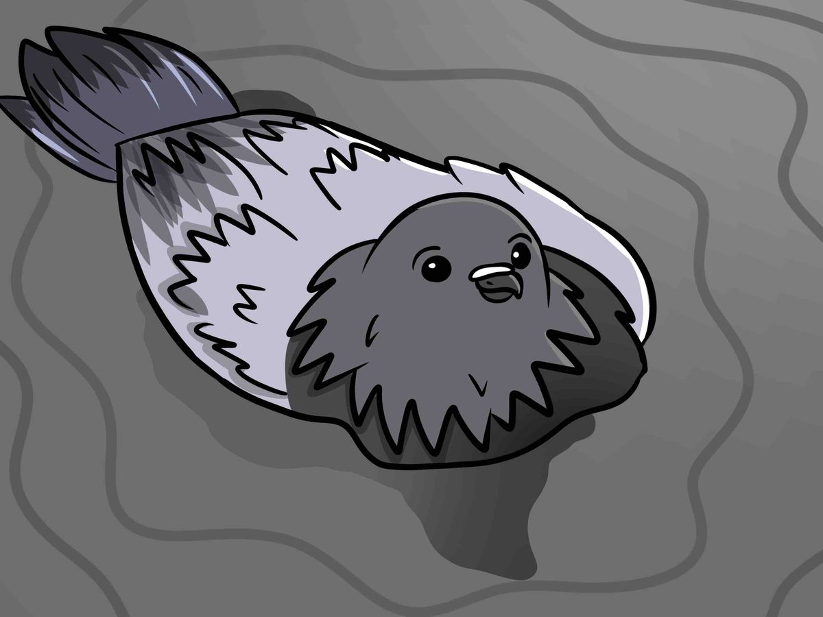 Fundraiser’s main image