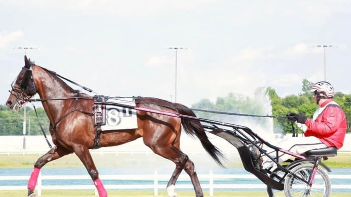 Help Glen Miller Heal After Farm Accident campaign photo, 1 of 3