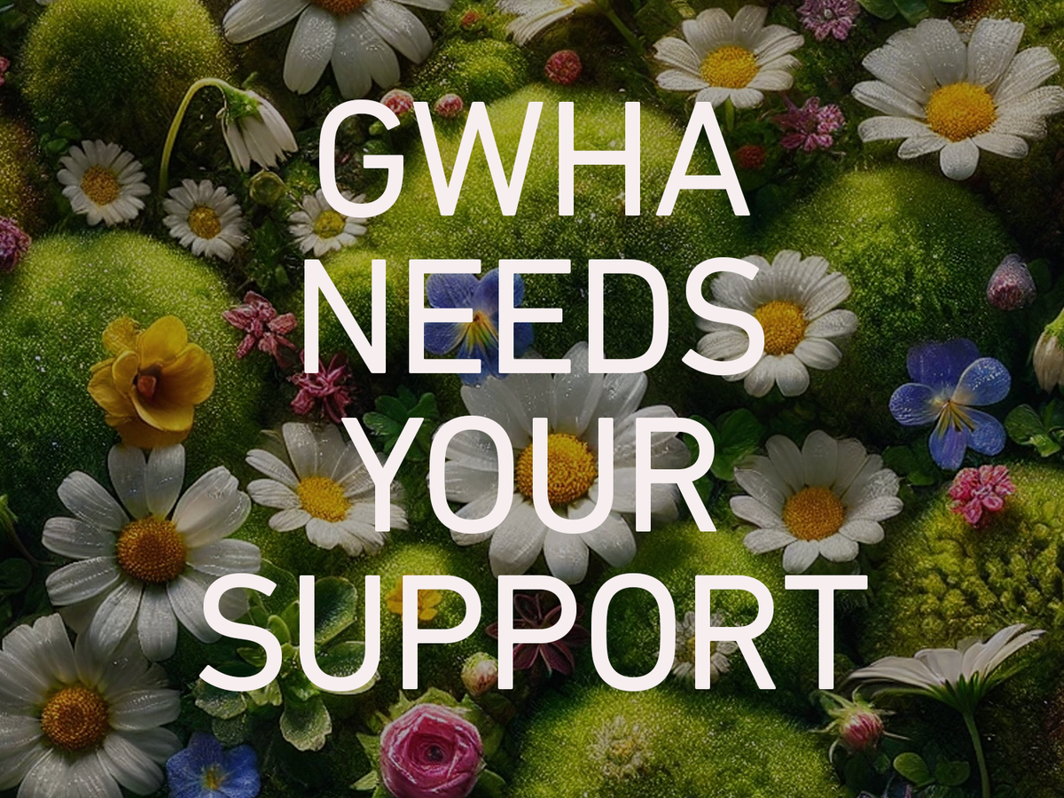 Fundraiser’s main image