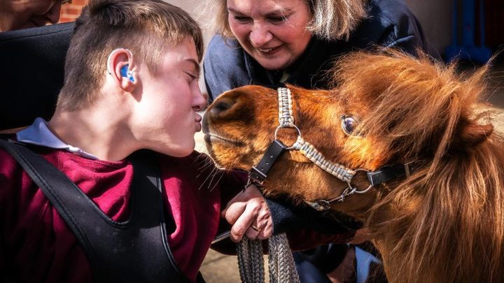 Support Lunar Eclipse Therapy Horses & Wellness Centre campaign photo, 1 of 3