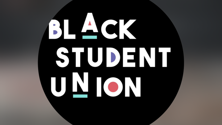 Support BSU's Educational Enrichment Trip campaign photo, 1 of 3