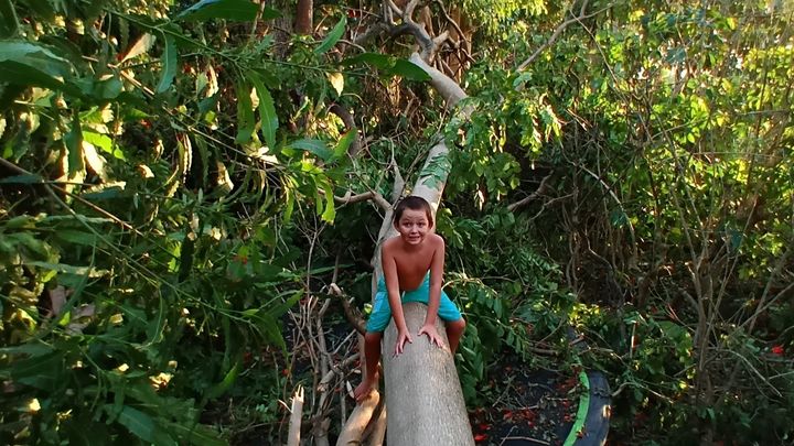 Help Andrew Family Recover After Storms campaign photo, 1 of 8