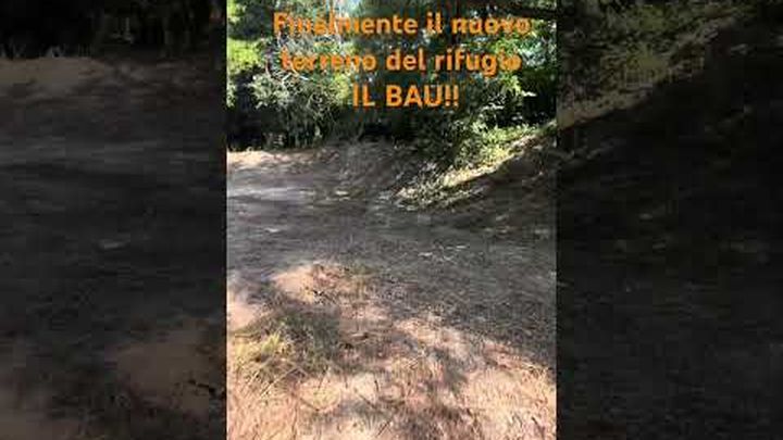 Aiutateci a far correre di più i nostri cani! video thumbnail, 1 of 5