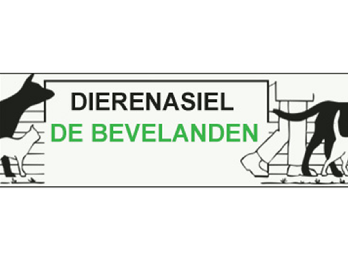 Fundraiser’s main image