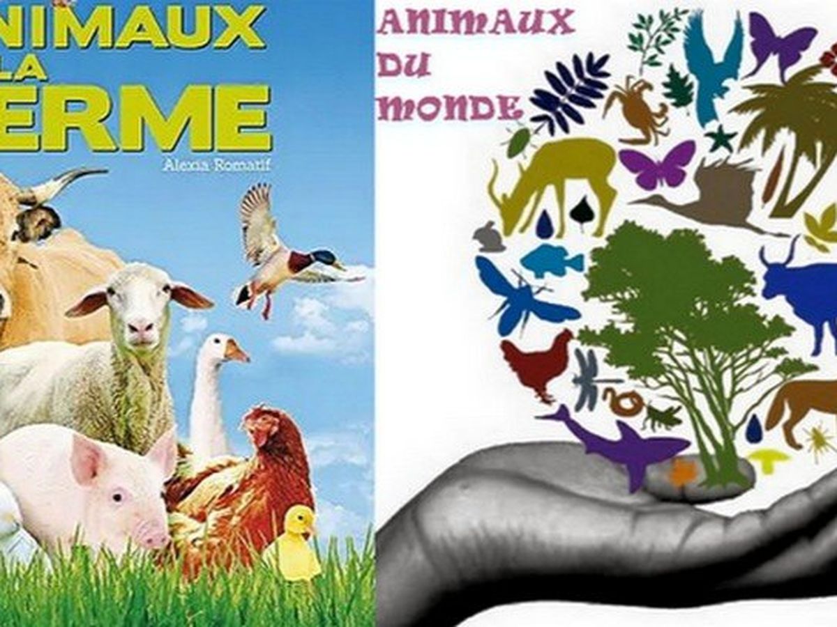 POUR TOUS LES ANIMAUX ET HUMAINS (FAIM) campaign photo, 1 of 3