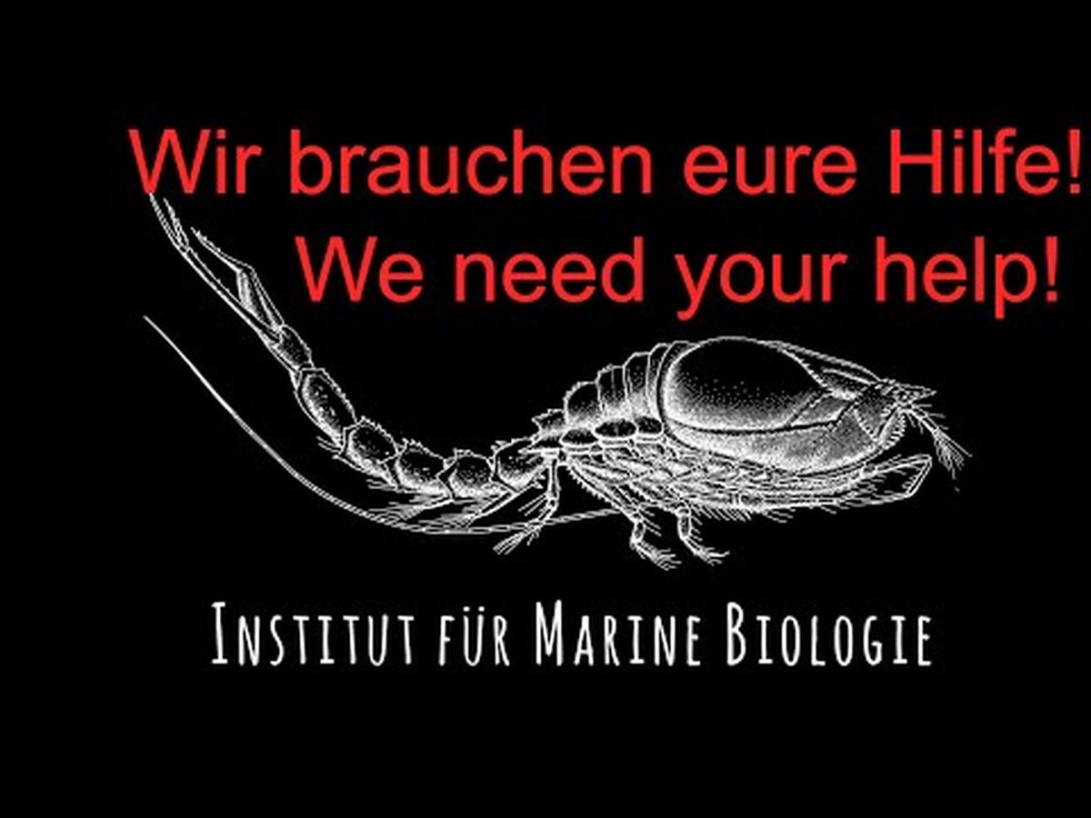 Fundraiser’s main image