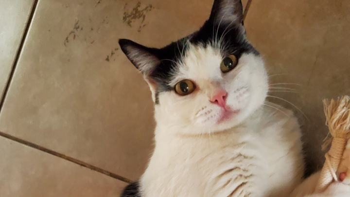 Donate to Save Linsey: Critical Care Required campaign photo, 1 of 7