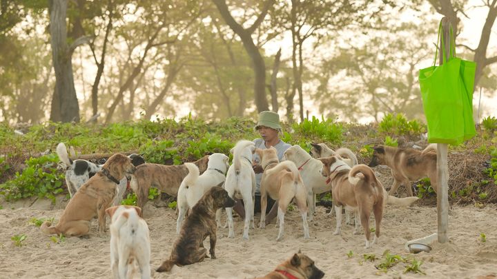 Lifesaving Dog Rescue House campaign photo, 1 of 8