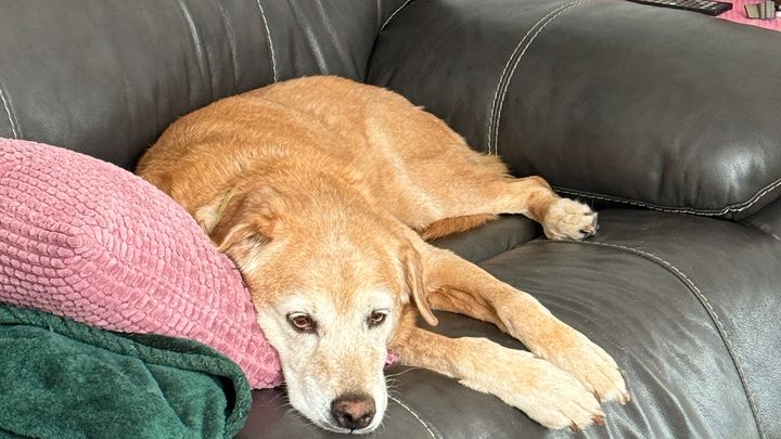 Help Erica Give Queen a Peaceful Farewell campaign photo, 1 of 6