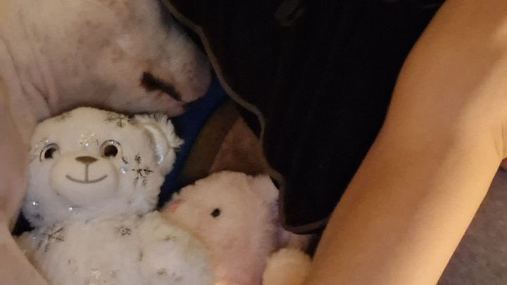 Help My Puppy Recover from Hip Injury campaign photo, 1 of 8