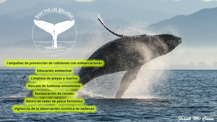 Foto principal de la recaudación de fondos