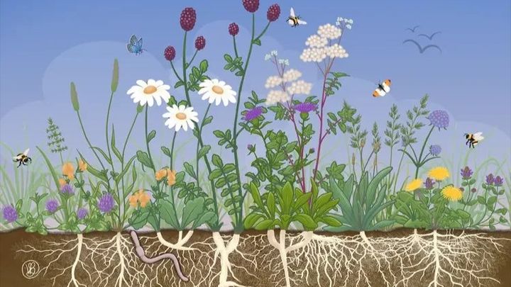 Help Start a New Food Pantry in Providence: Wildflower Web campaign photo, 1 of 5