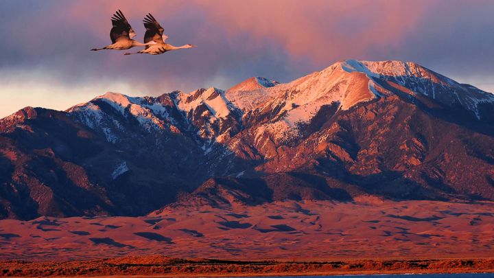 Protect Our Wild Lands and Wildlife campaign photo, 1 of 3