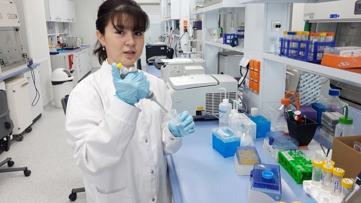 Foto principal de la recaudación de fondos